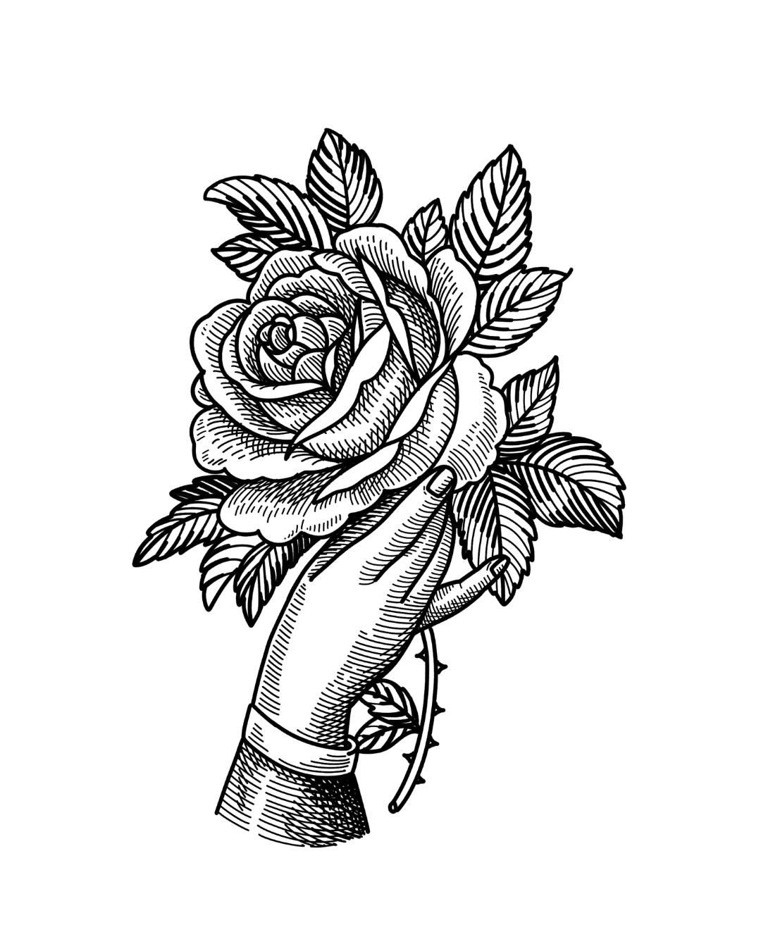 Mão Segurando uma Rosa