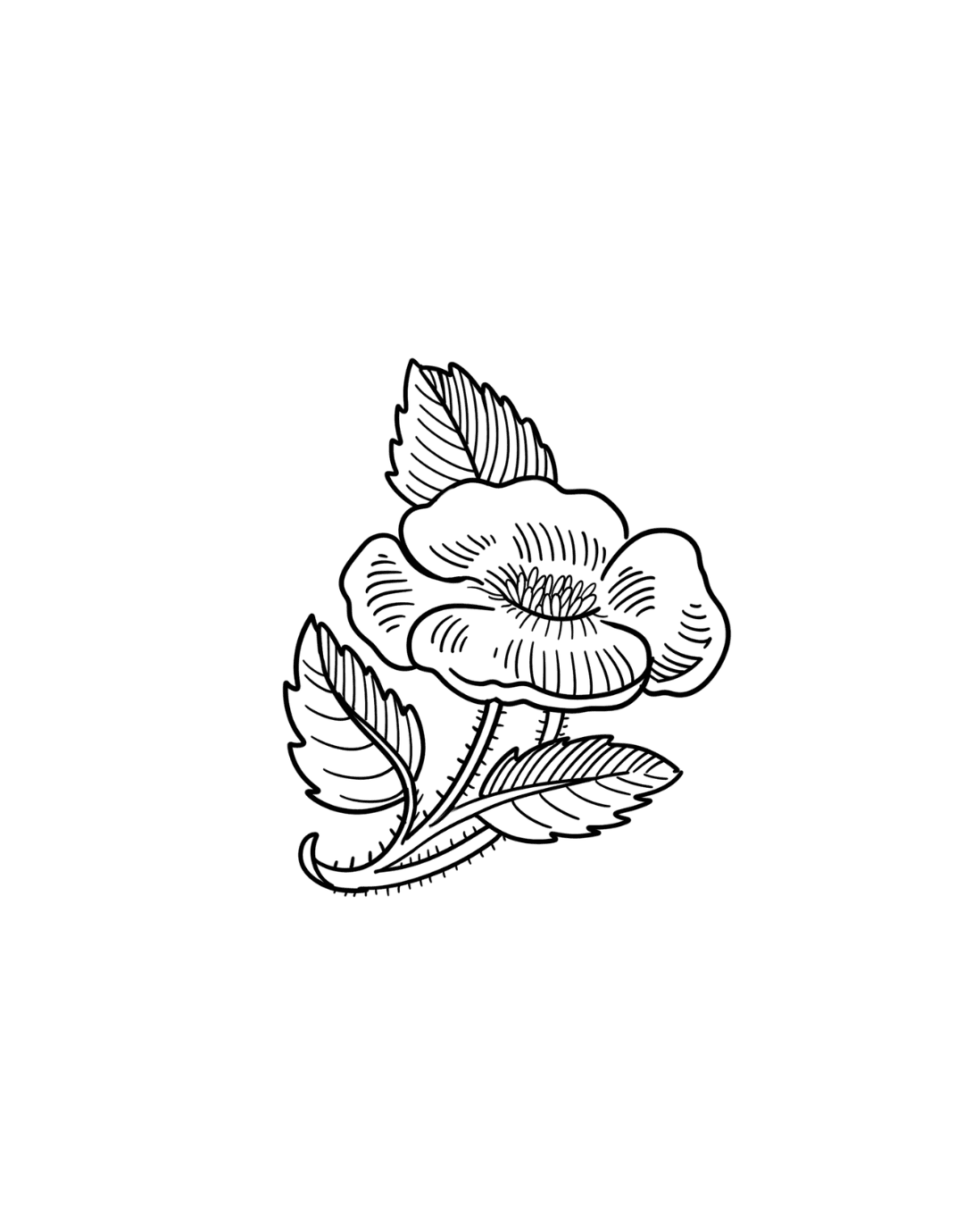 Flor