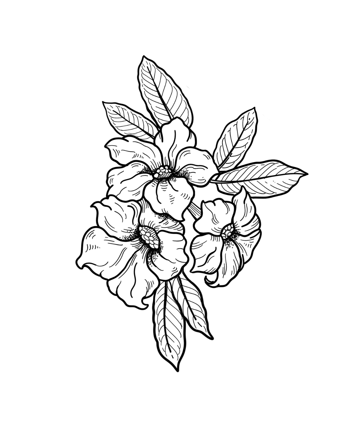 Arranjo Flores