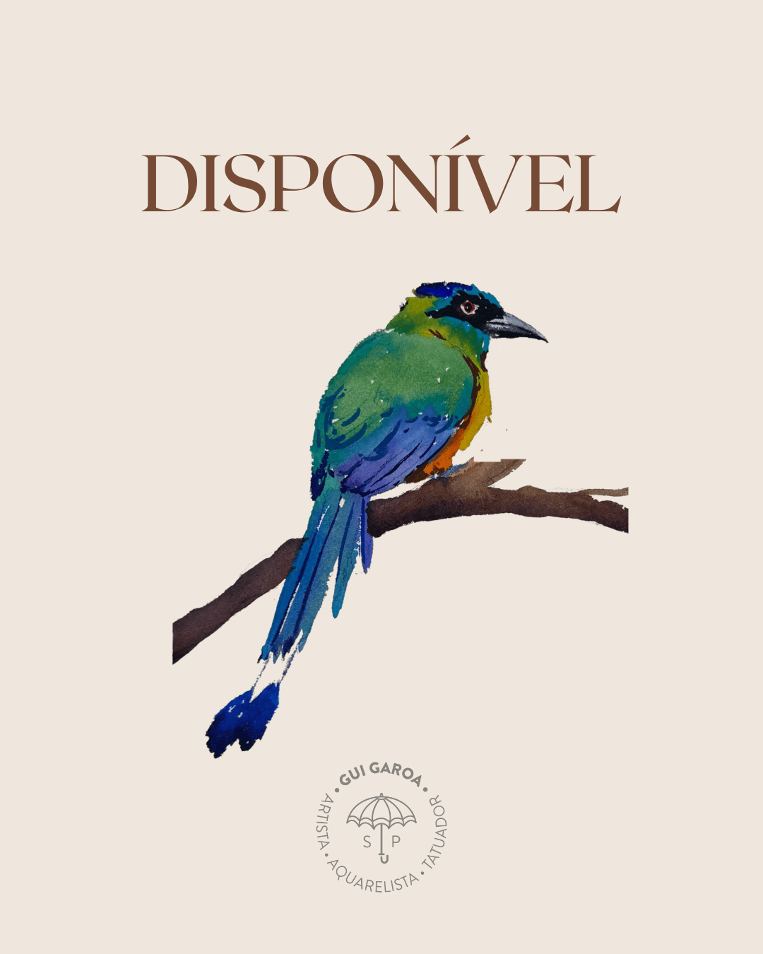 Udu de coroa azul (1)