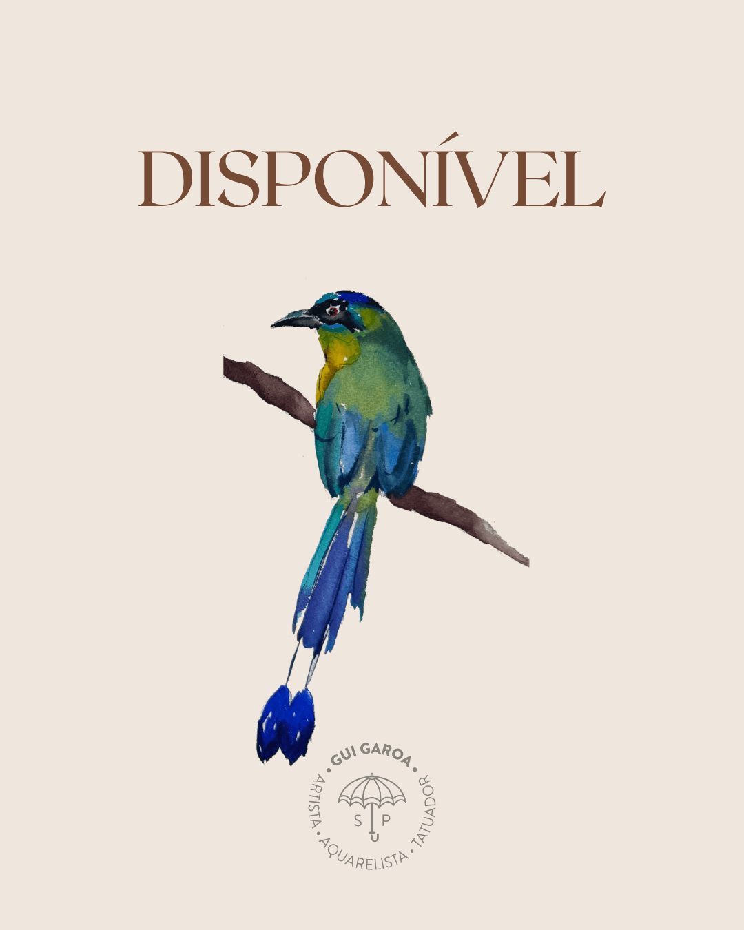 Udu de coroa azul (2)