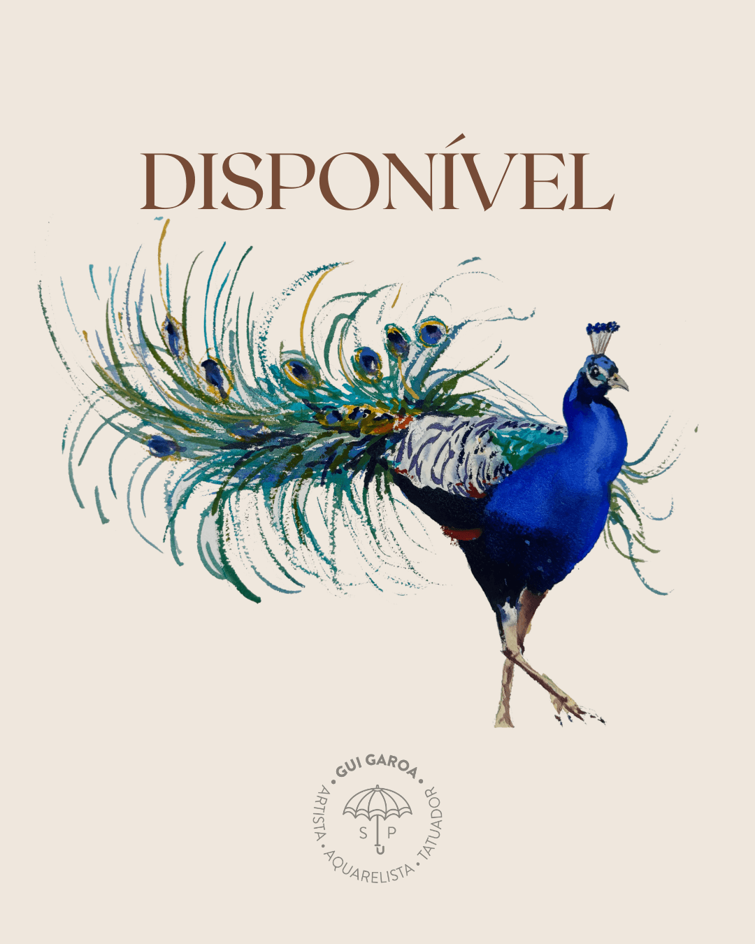 Pavão