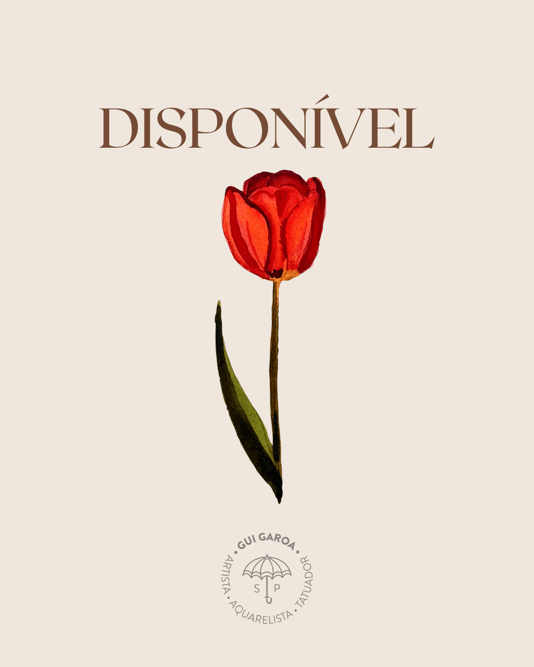 Tulipa 1
