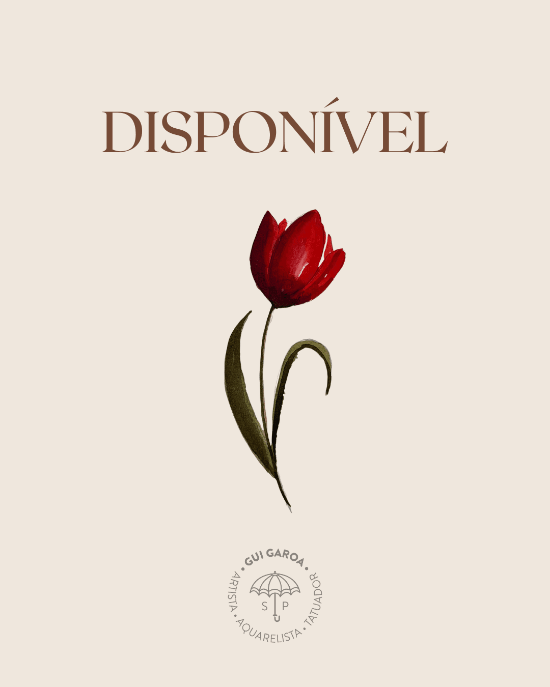 Tulipa 2