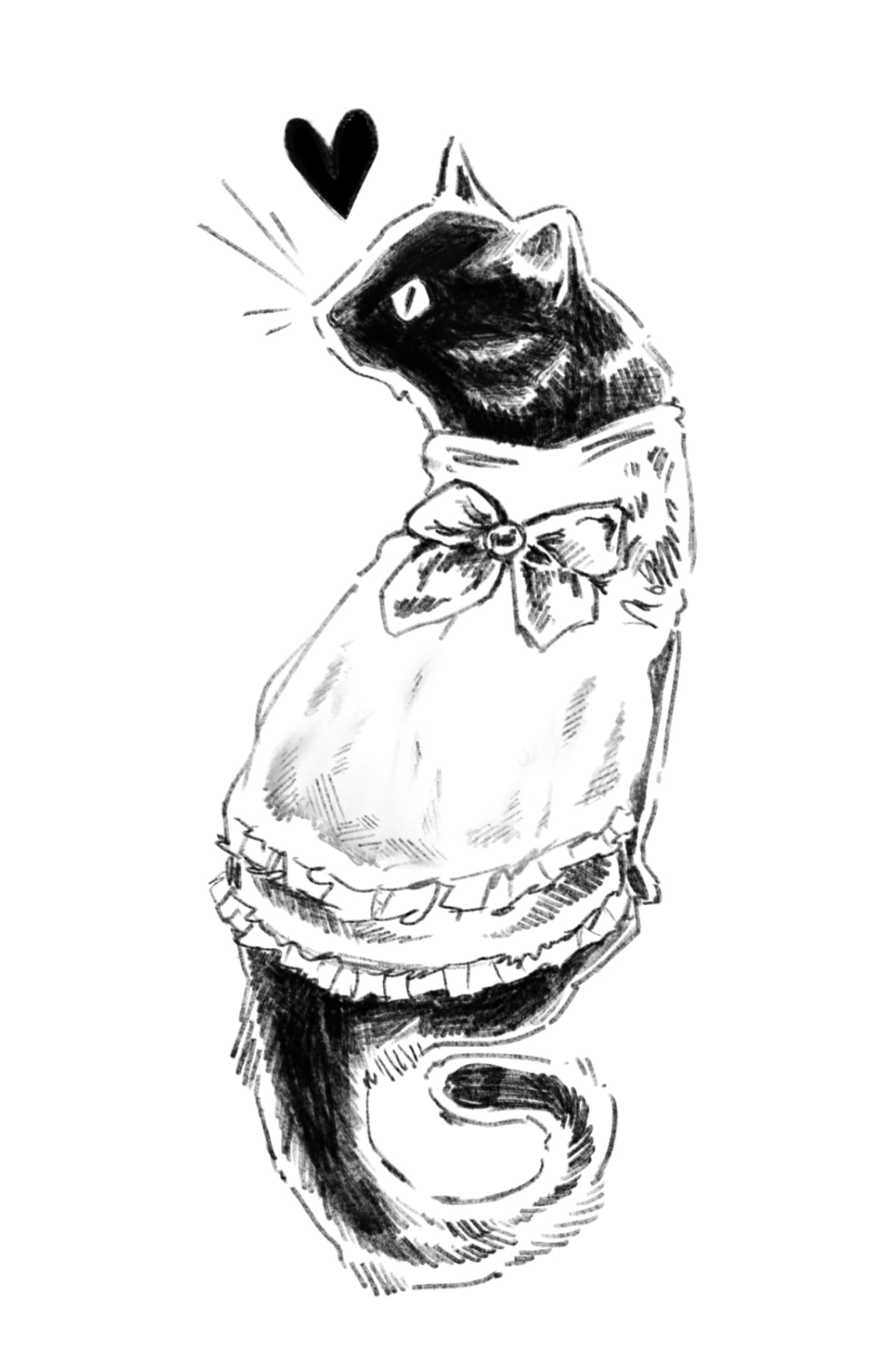 Gato de roupinha