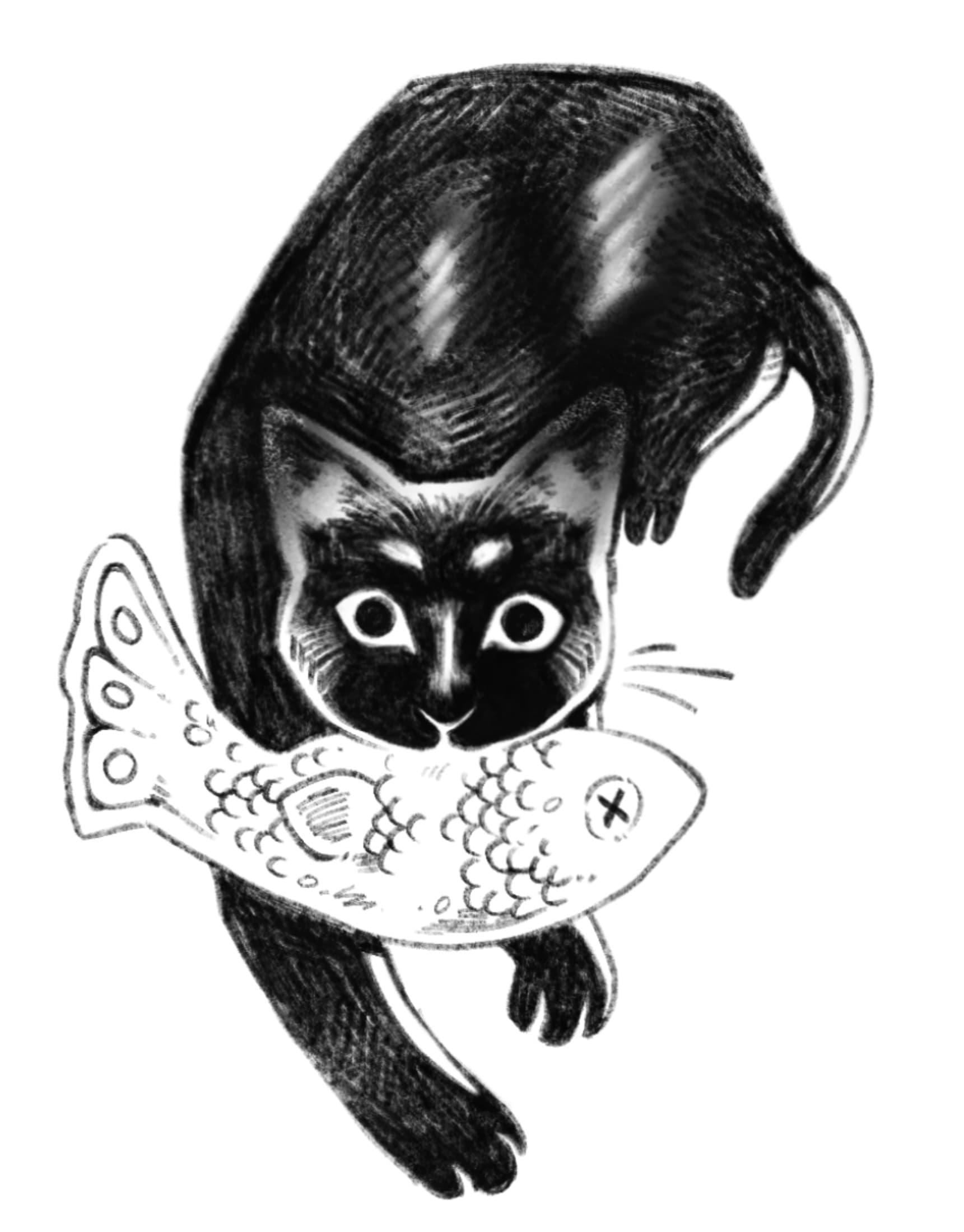 Gatinho caçador